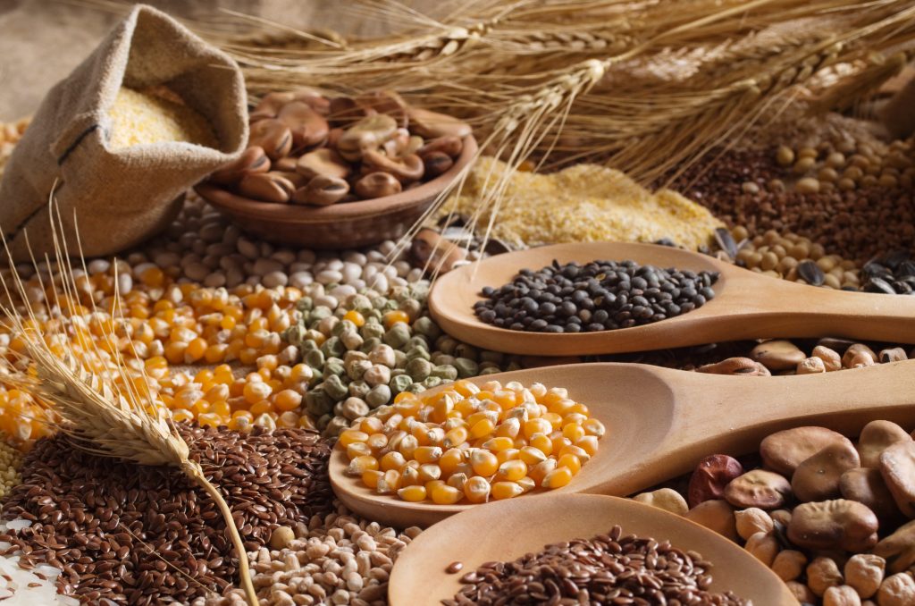 Céréales et légumineuses Vegan Pratique